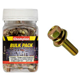 Champion - HEX SET SCREWS SEMS HEX IND FLAT/SPRING WASHERS M8 x 20mm | CBP191